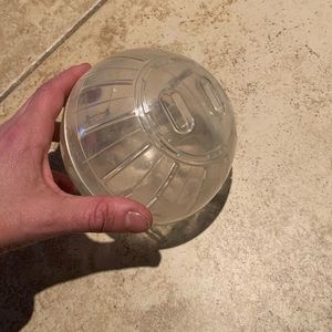 Kaytee 5" Mini Run-About Exercise Ball